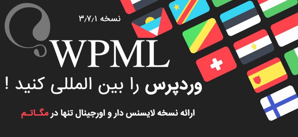 افزونه wpml